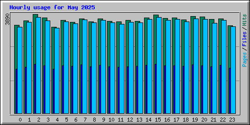 Hourly usage for May 2025